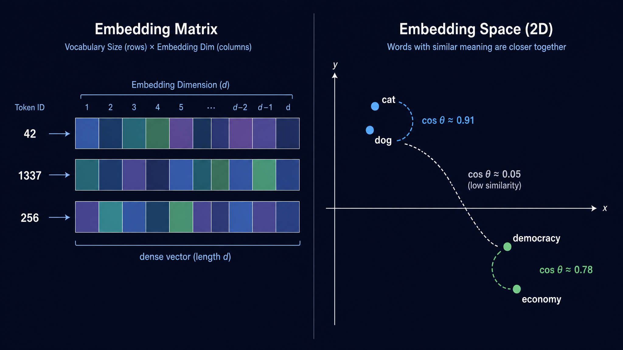 Embedding 矩阵与语义空间中的向量聚类